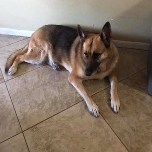 Meet your Posher, Tina-louise